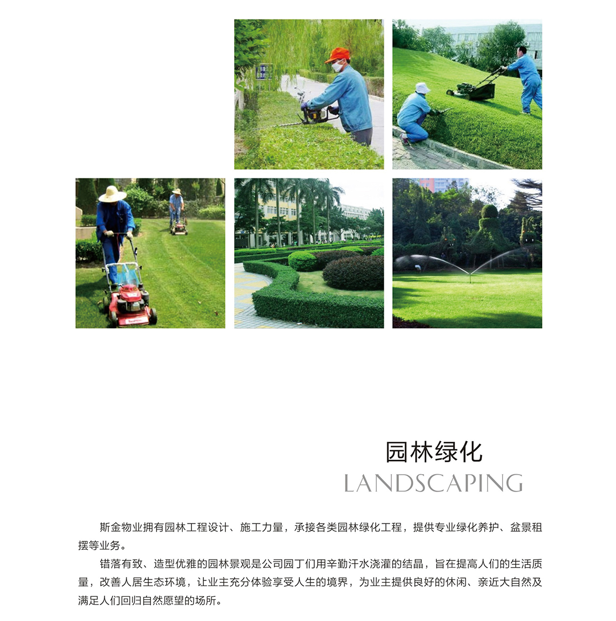 未标题-5.jpg